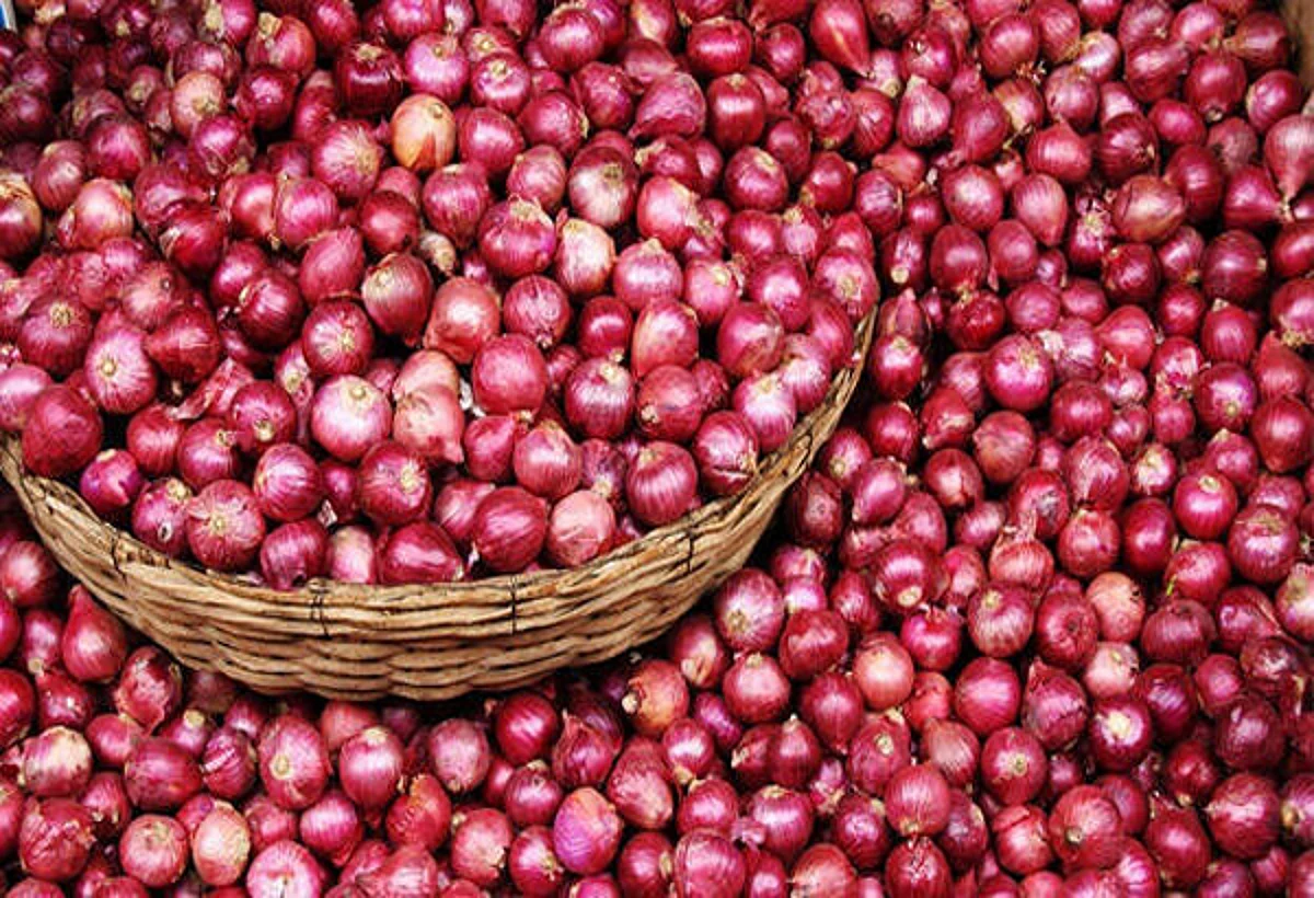 Onion Prices Increases by 40 Percent