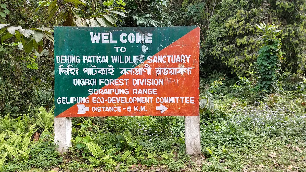 Dehing Patkai: CM Sets up One-Man Inquiry Commission