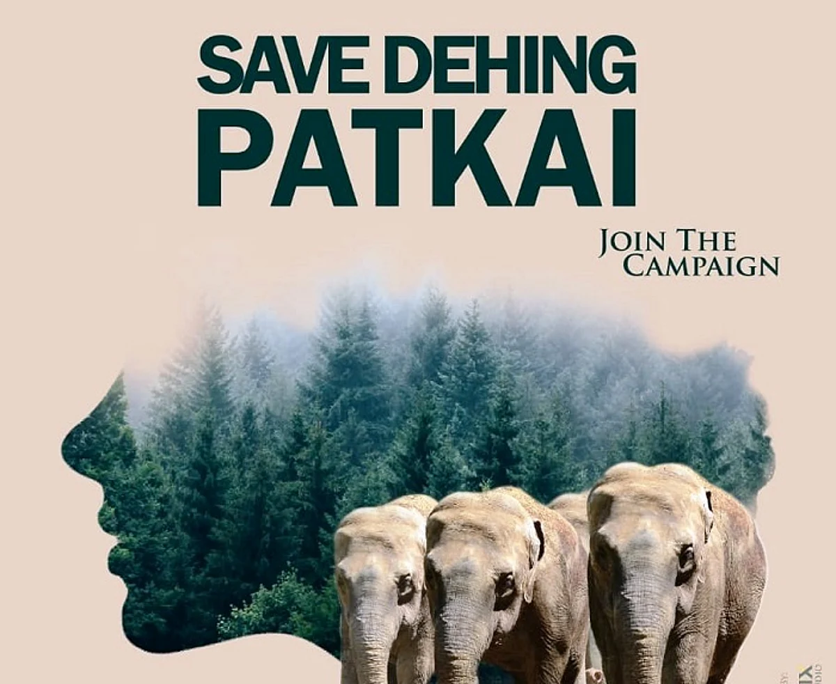 Dehing Patkai# Game everybody loves to play