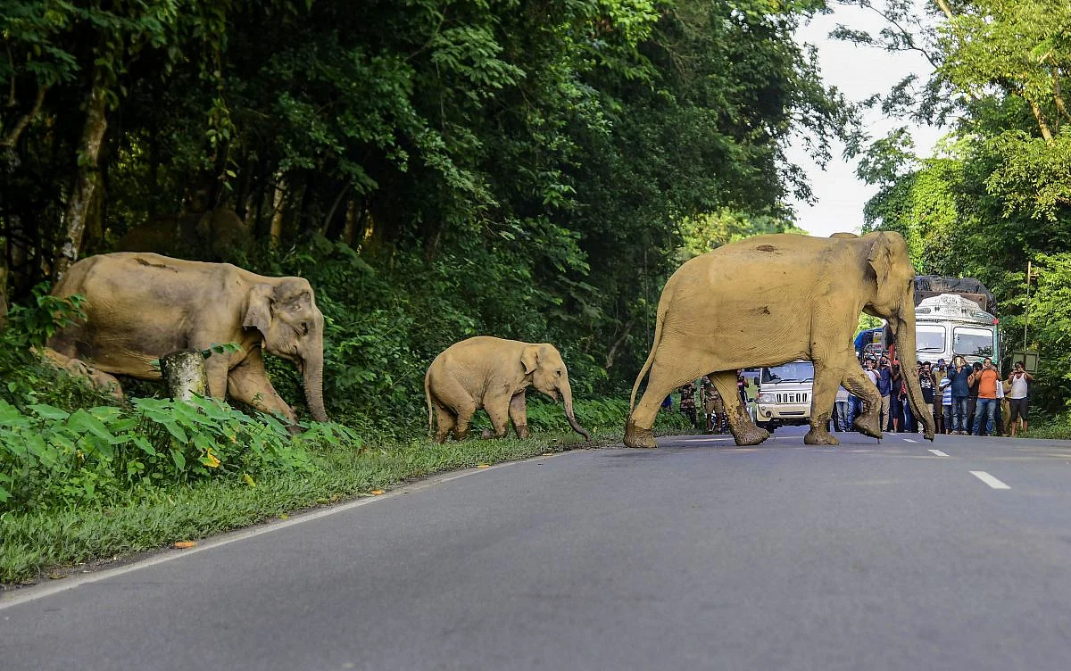 Image Source: PTI