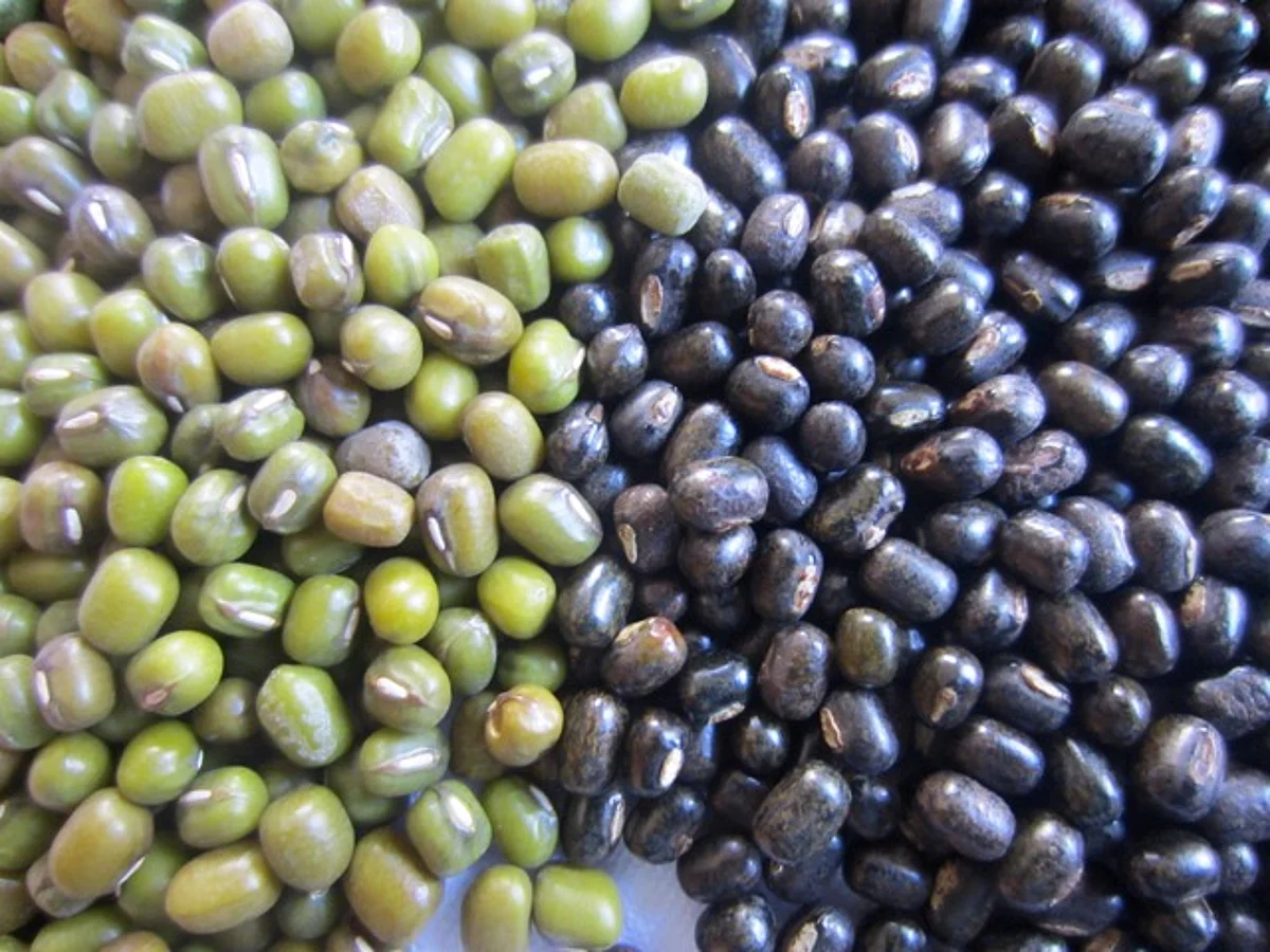 South Salamara: 200 Sacks Of Pulses Seized