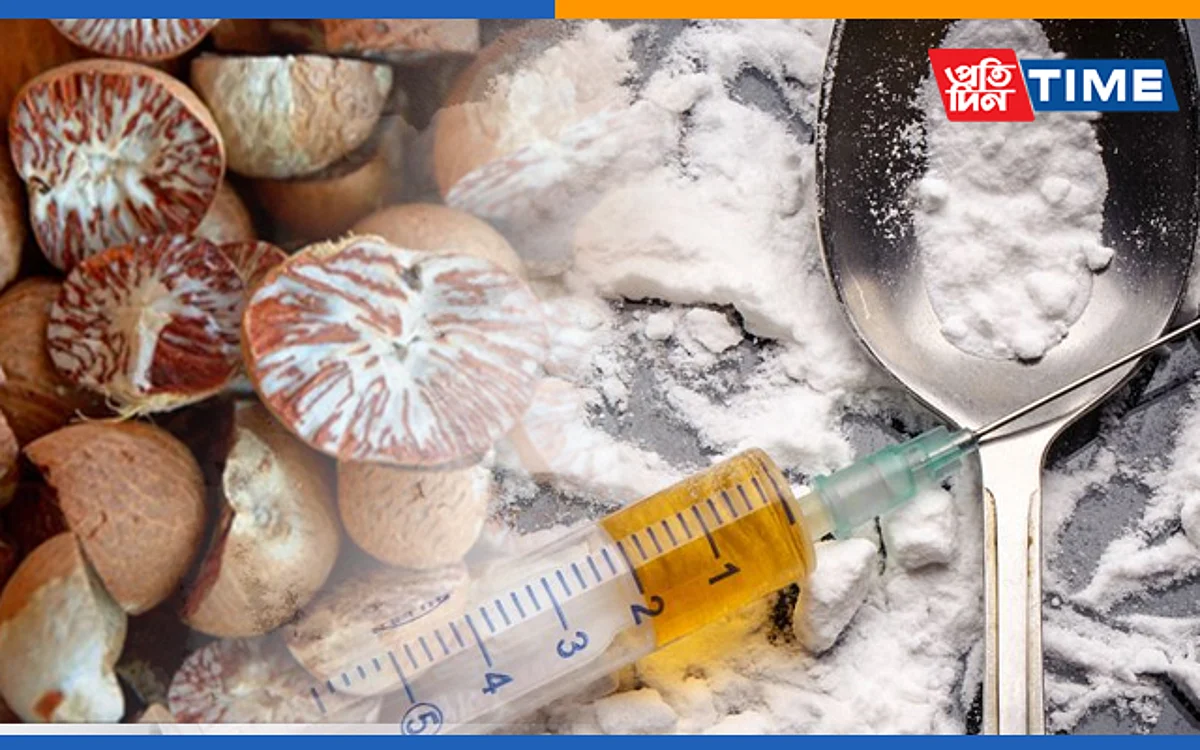 Mizoram: Heroin, Areca Nuts Seized, 2 Held