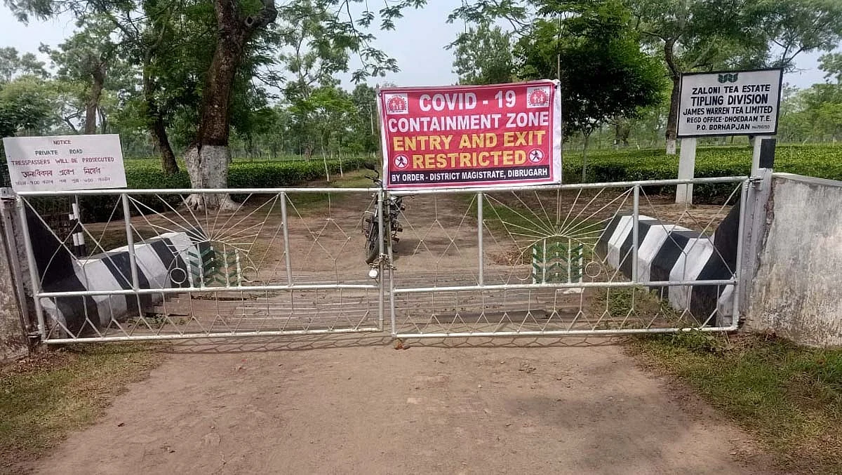 Dibrugarh: Zaloni Tea Estate Shut Down After 133 Test COVID +ve