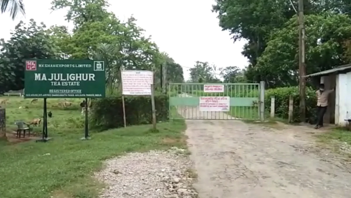 Assam: Another doctor assaulted in Biswanath
