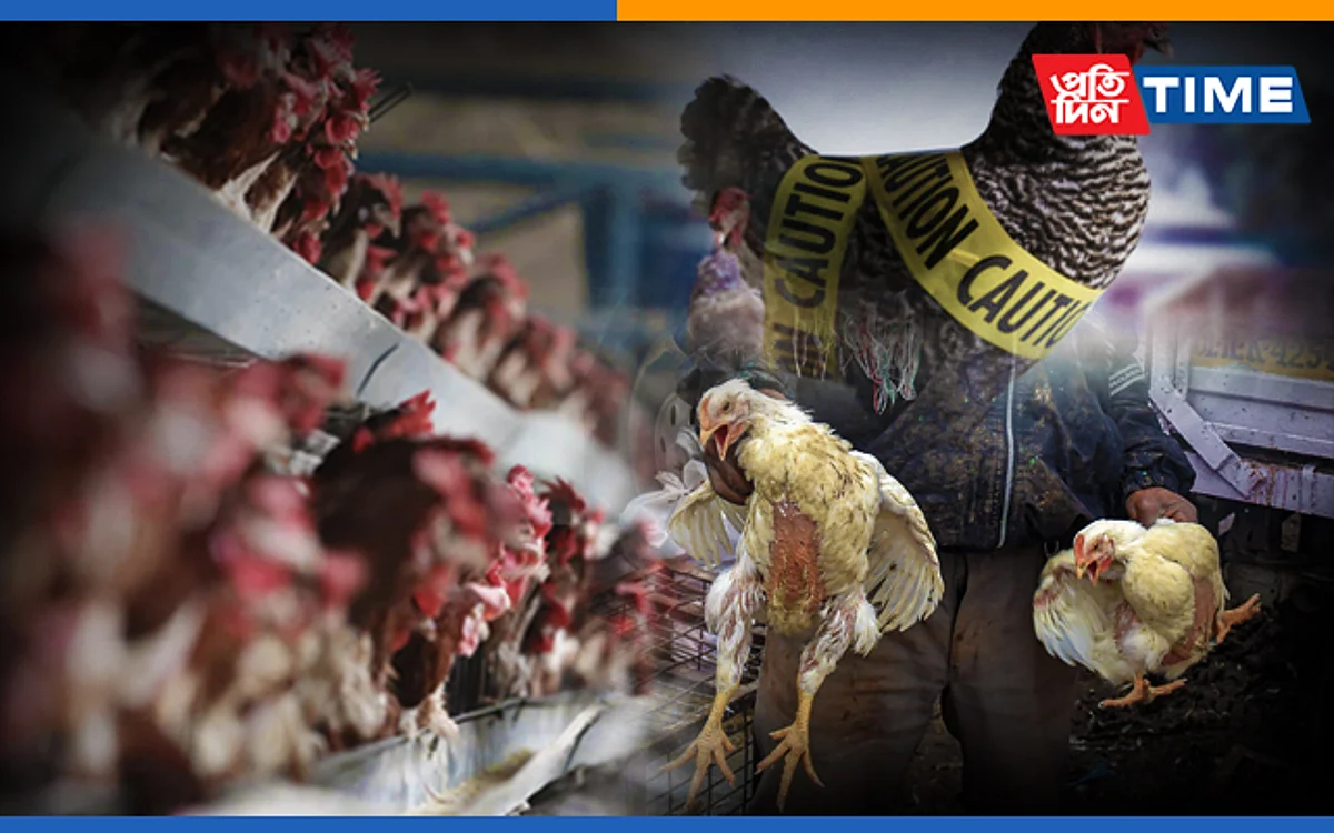China Reports World’s First Human Case Of H10N3 Bird Flu