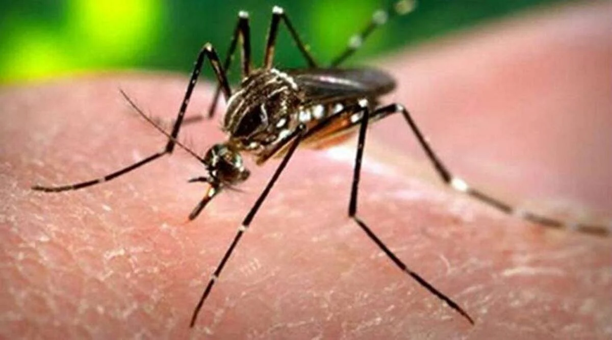 Maharashtra: Zika Virus Scare in 79 Villages in Pune