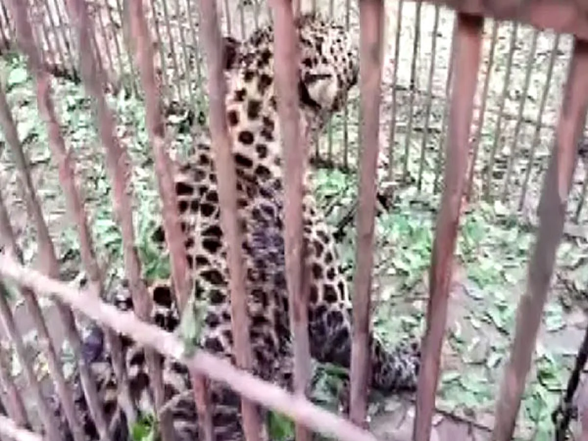 Source: ANI