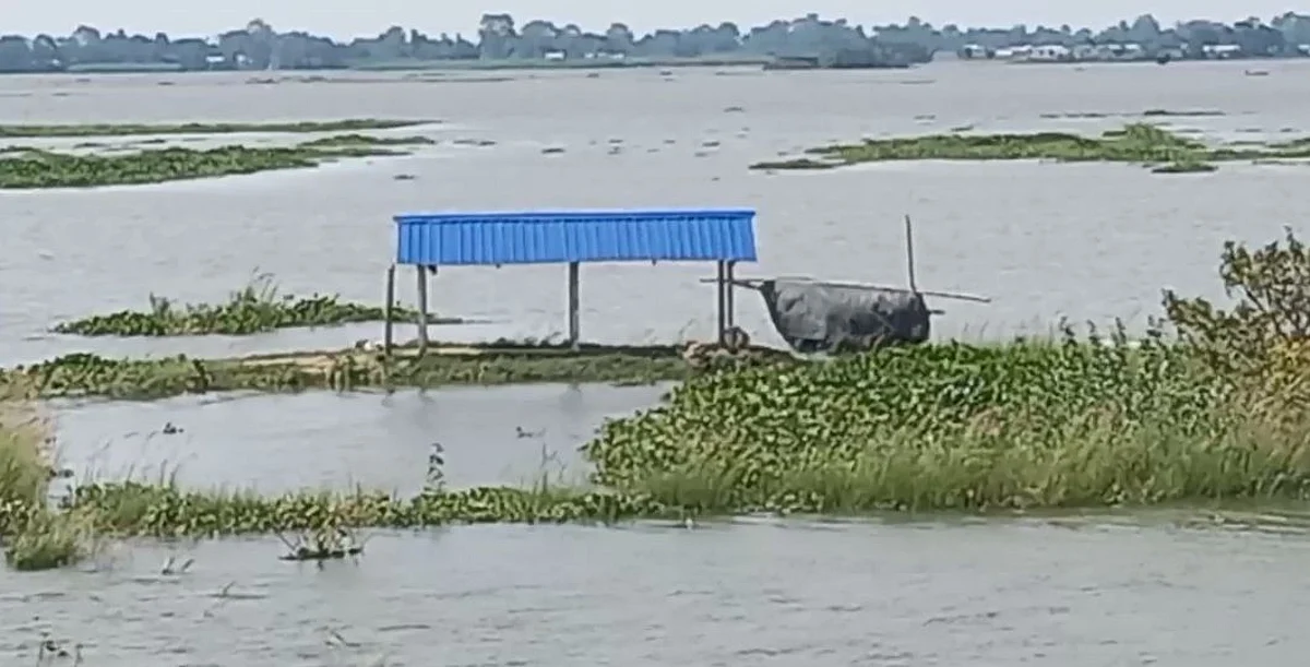 Vast Area Of Mayong Inundates By Late Floods