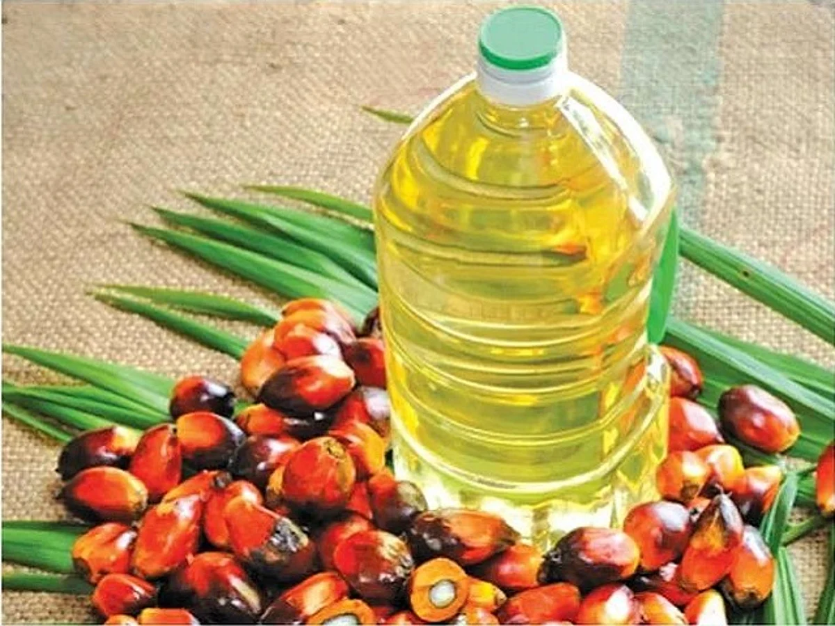 Govt Gives Green Signal To Oil Palm Mission Despite Red Flags From Top Forestry Institute