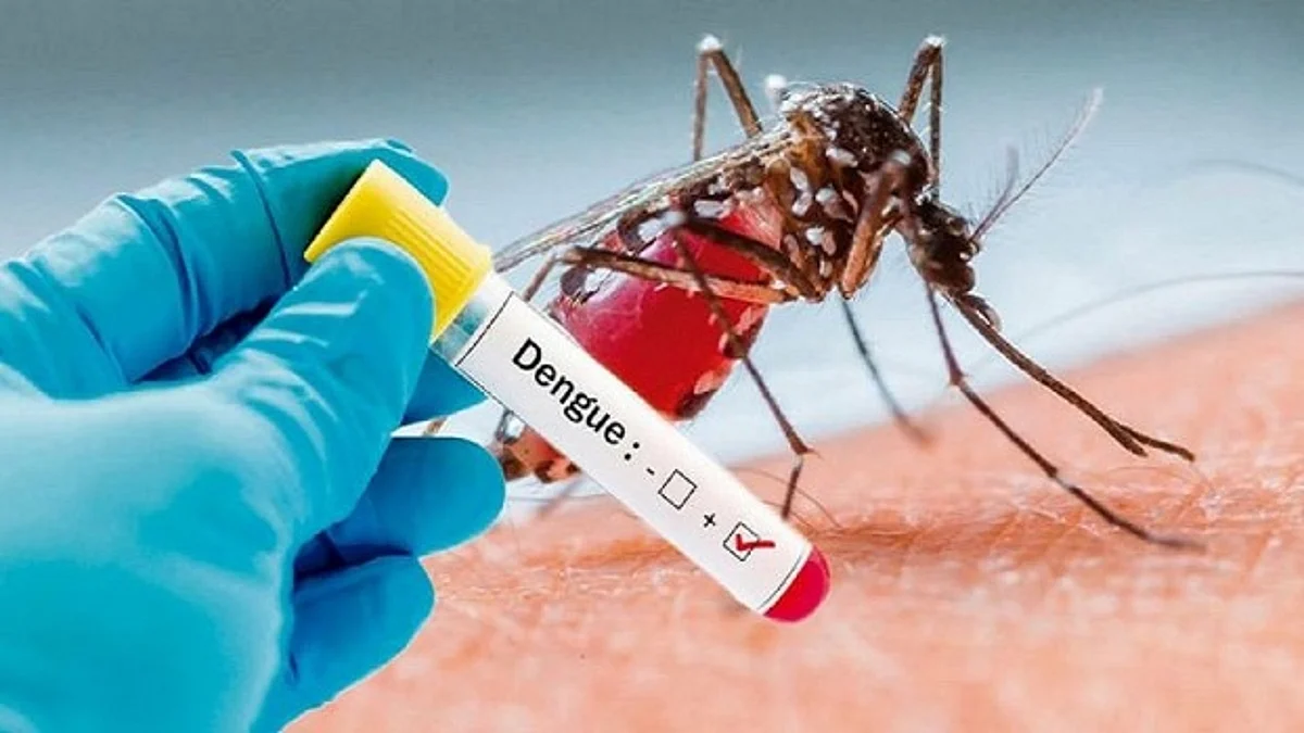 Assam: 2 Die of Dengue at GMCH