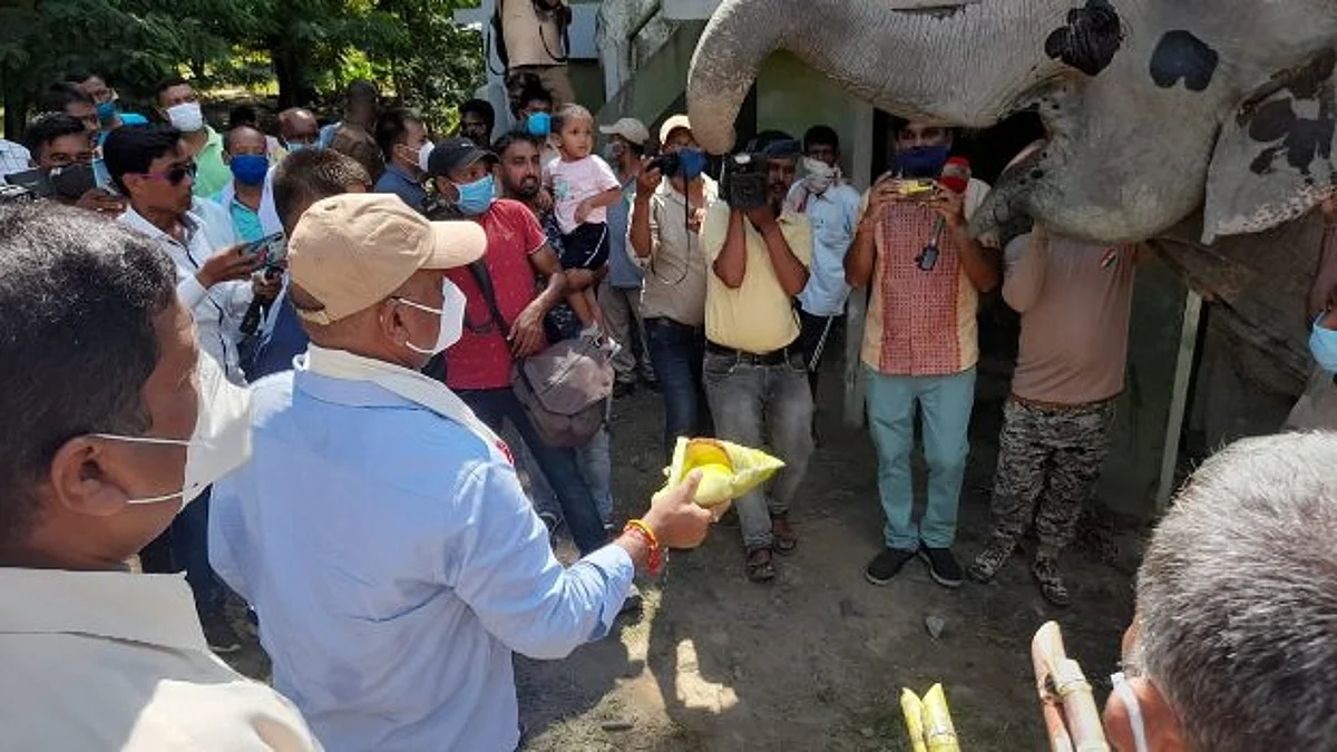 Manas and Kaziranga National Parks Reopen for Tourists Today