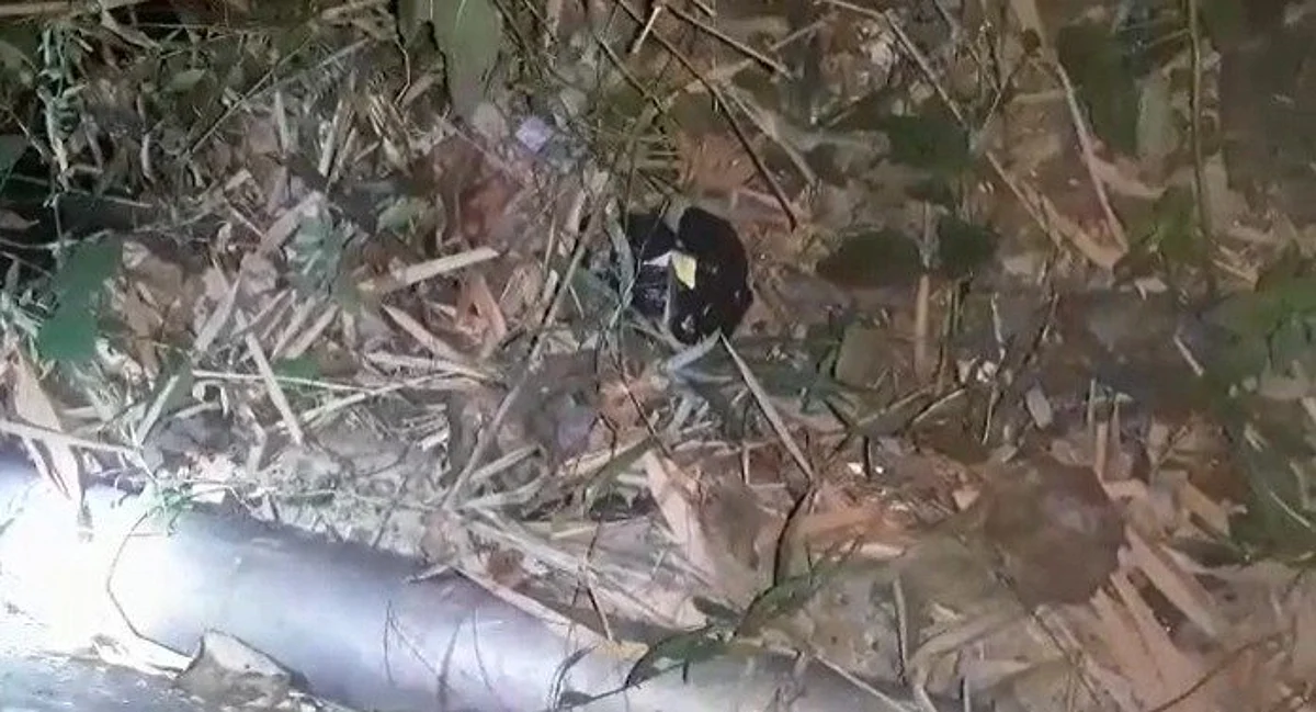 Assam: Bomb Recovered In Cachar