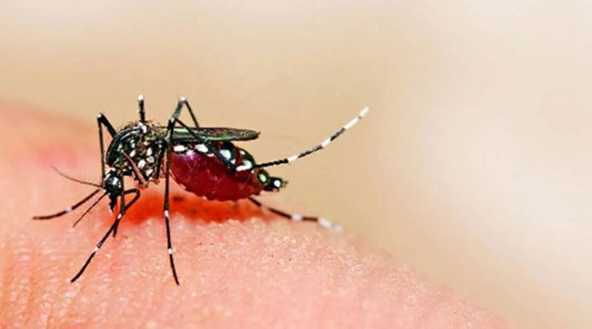 Lucknow Reported 2 Cases of Zika Virus