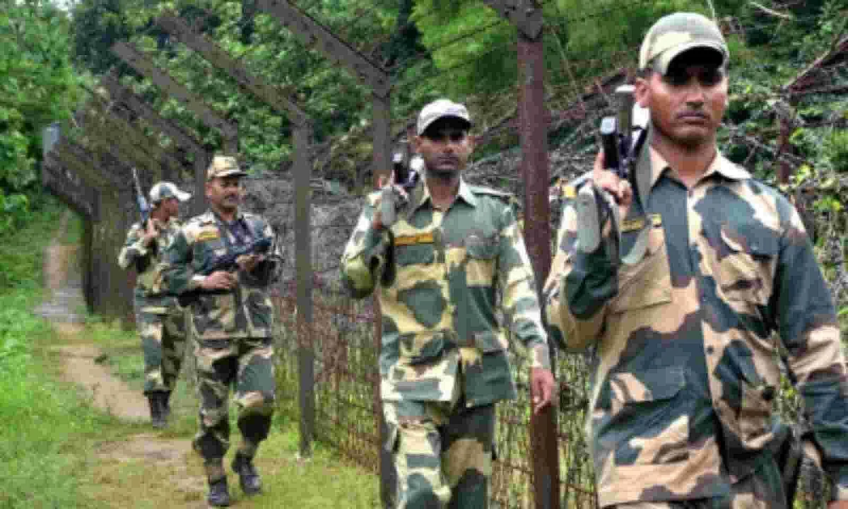 BSF Seized 275 Kg Drugs In Meghalaya Sector Since 2020