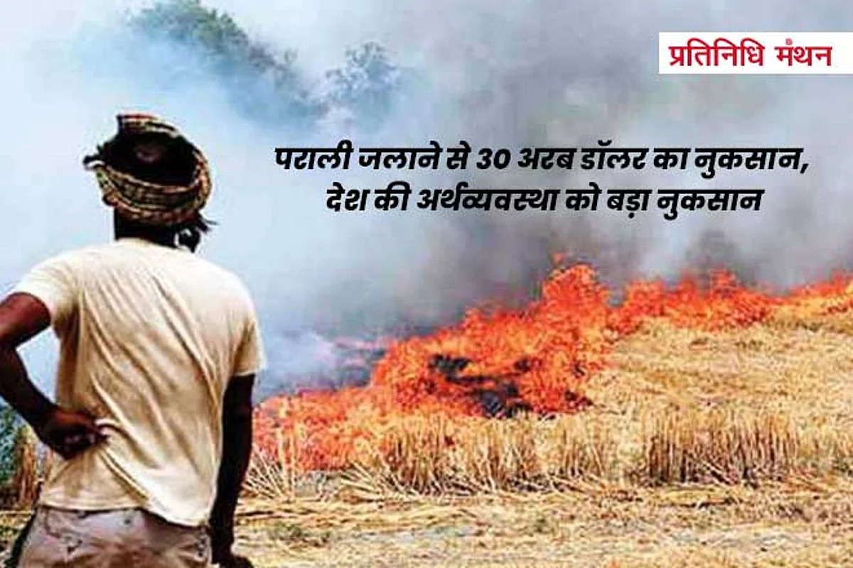 पराली जलाने से 30 अरब डॉलर का नुकसान, देश की अर्थव्यवस्था को बड़ा नुकसान