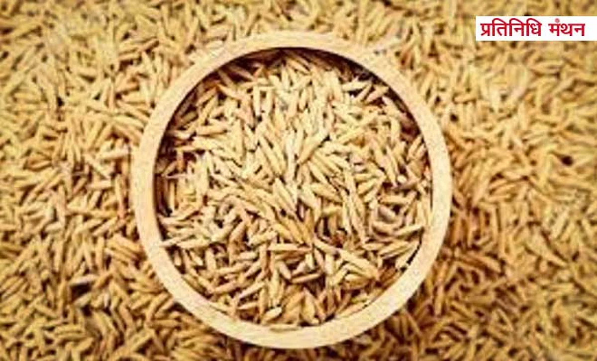 हिटलर धान के चावल खाए आपने? हो सकता है खाए भी हों, काम से पहले नाम चर्चा में...