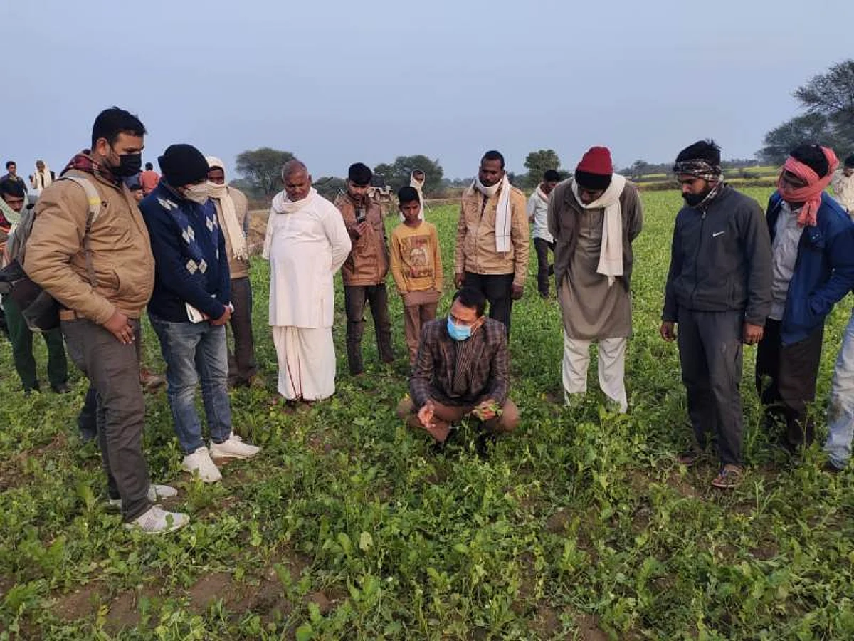 कलेक्टर ने किसानों के खेतों पर पहुंचकर फसलों के नुकसान का लिया जायजा