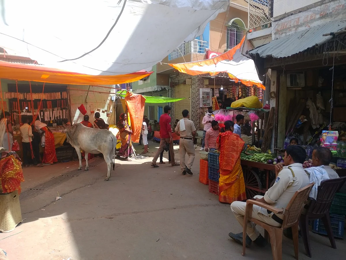 आवारा जानवर मां विजय काली के दरबार में लगे मेले में मचा रहे हैं आतंक