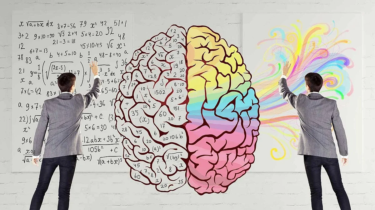 Бүтээлч хүмүүсийн тархи IQ өндөртэй хүмүүсийн тархинаас ямар ялгаатай вэ?