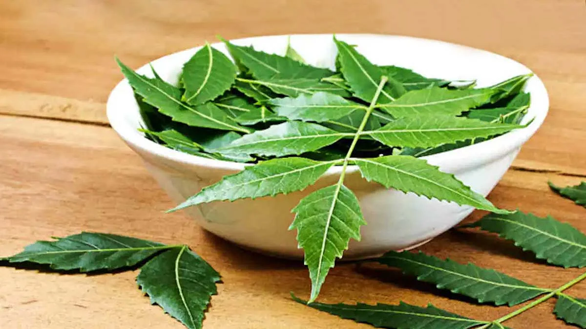 tips to use neem leaves at home