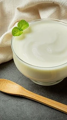 avocado avocado yogurt products made from avocado food nutrition concept 1150 26288