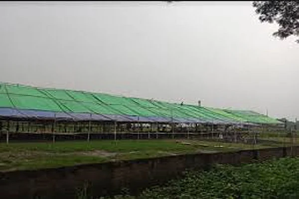 Bangla 1