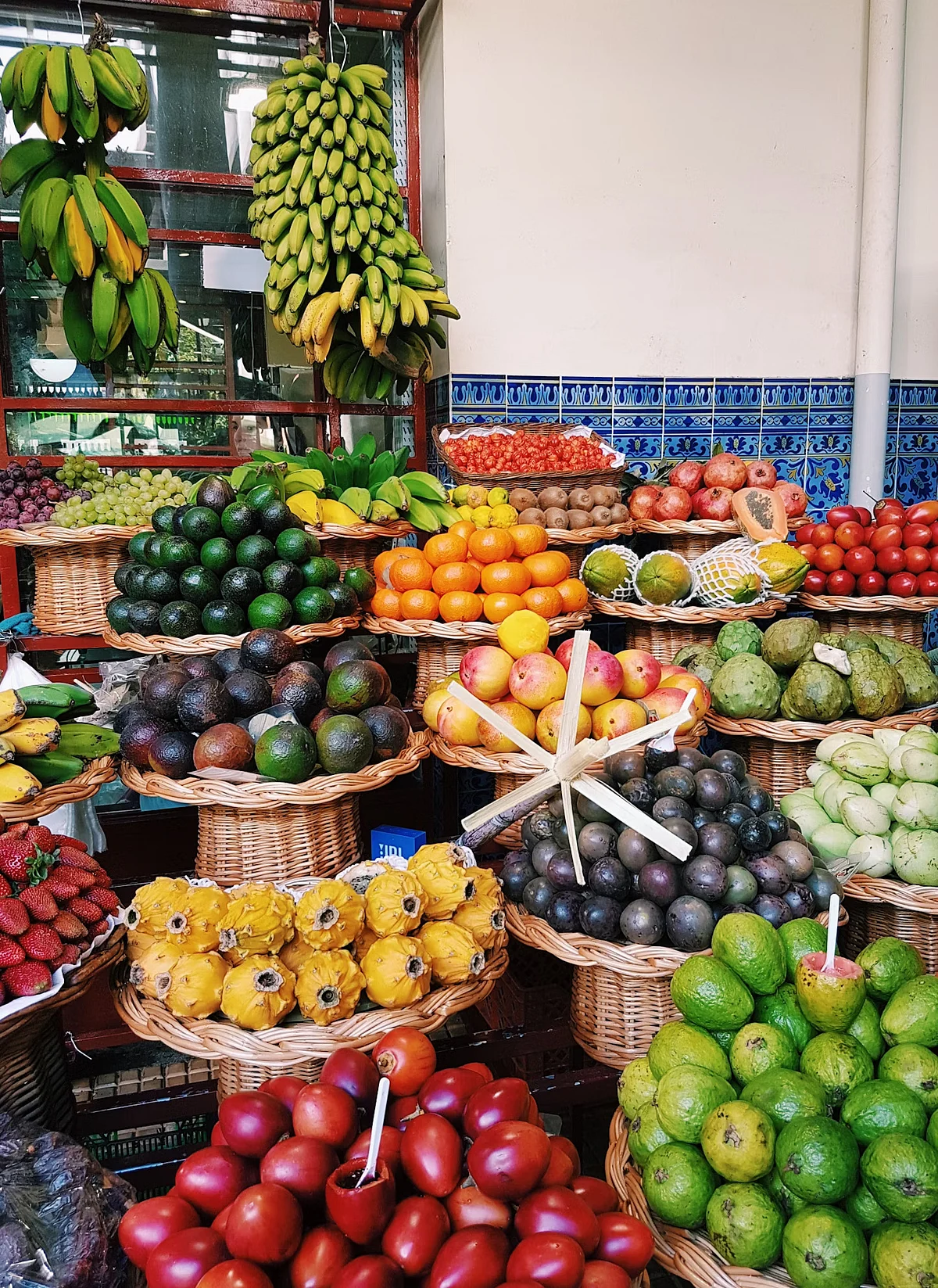 fruits 5