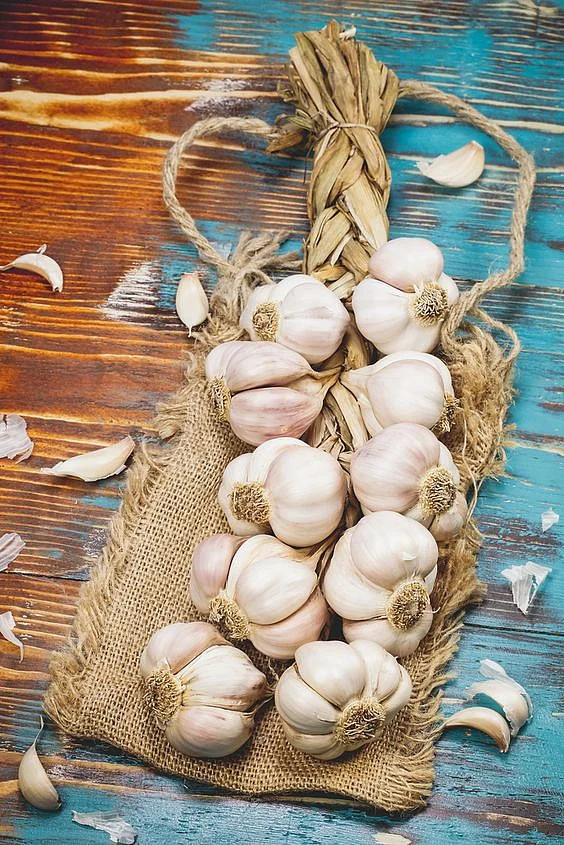Garlic decoction