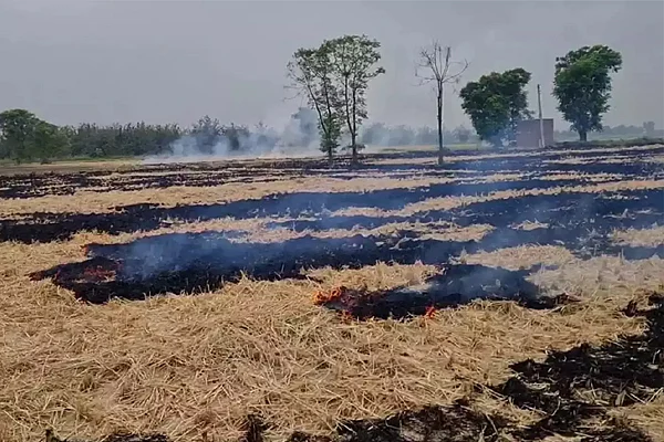 punjab3