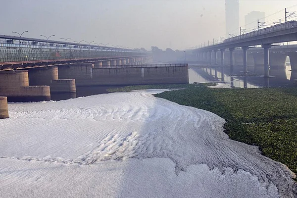 yamuna4