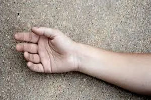 chaku 0