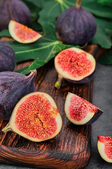 Figs 2