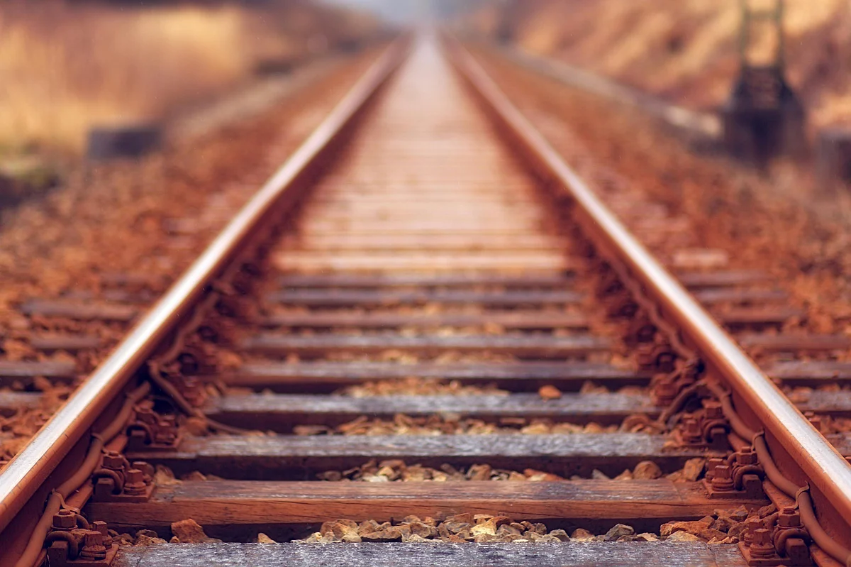 pexels jplenio 1165994