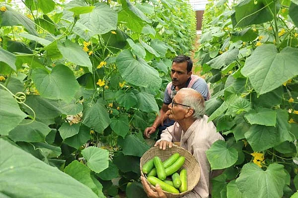 krishi2
