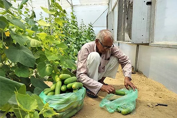 krishi3