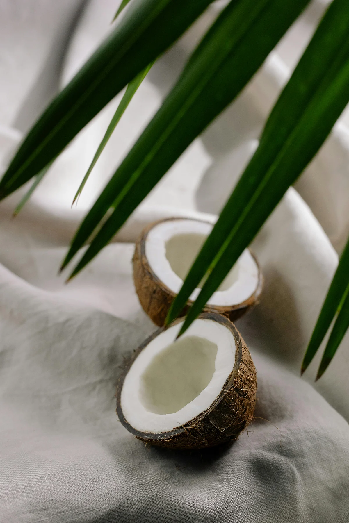 pexels cottonbro 5899686