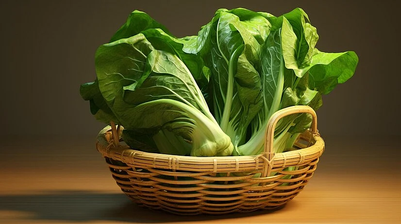Spinach 8