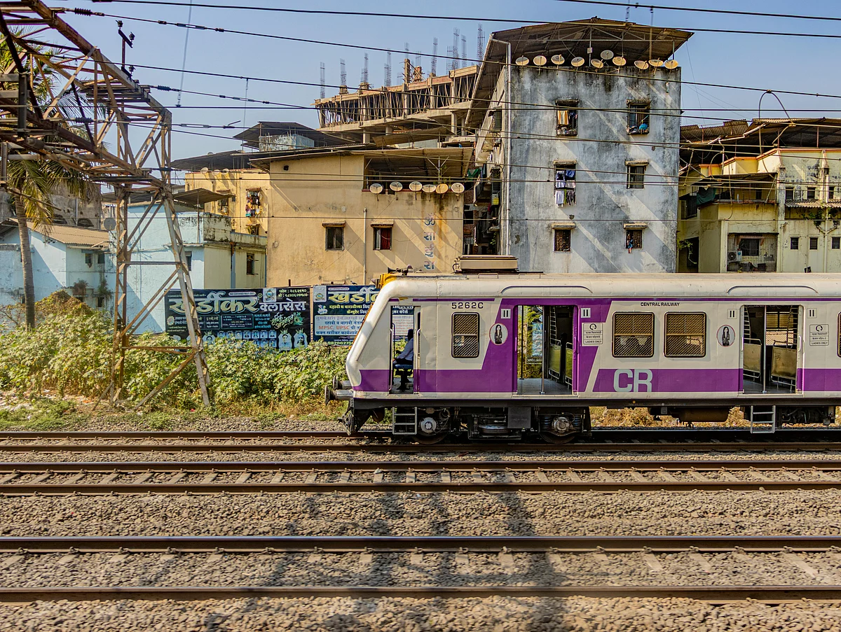 pexels shantumsingh 15536055