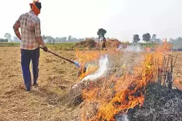 punjab3