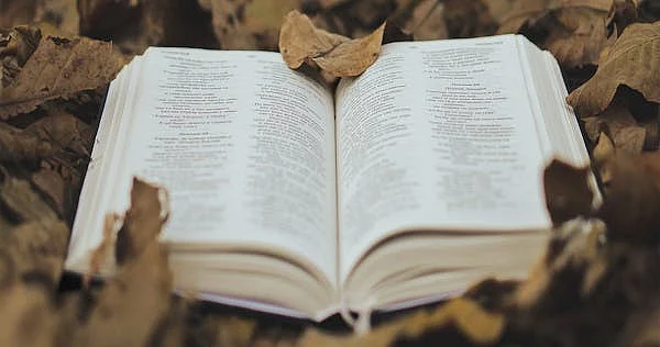 free photo of open book amidst autumn leaves outdoors