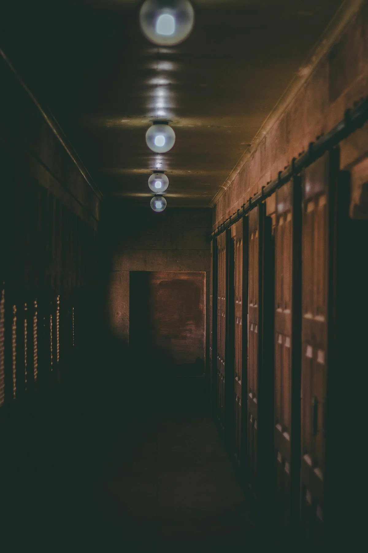 pexels byrahul 1023044