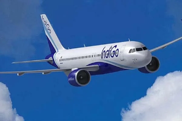 indigo2