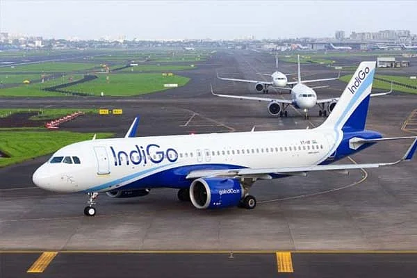 indigo3