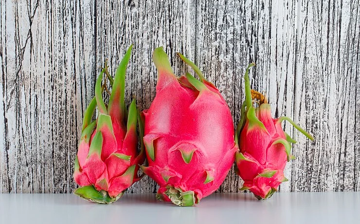 dragon fruit 1