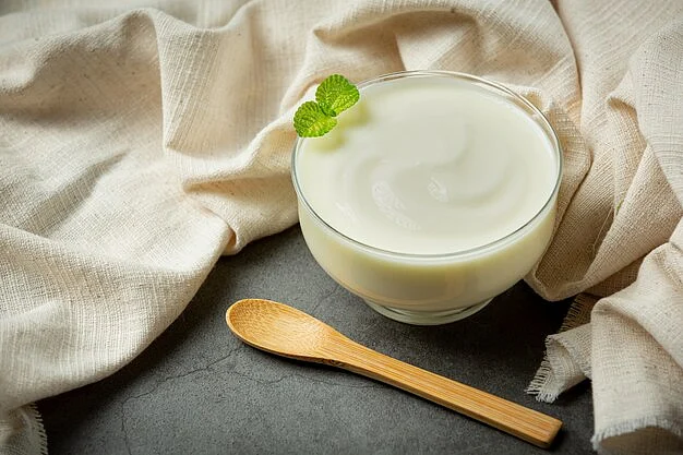 avocado avocado yogurt products made from avocado food nutrition concept 1150 26288