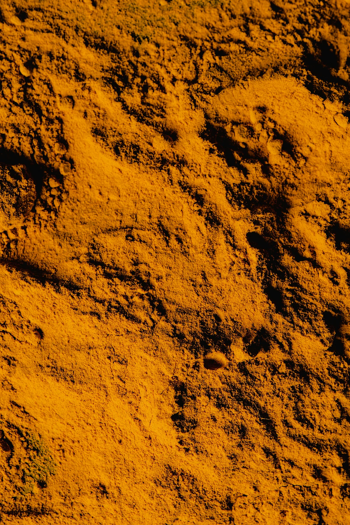pexels eva bronzini 6104651