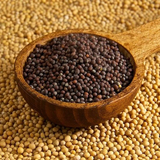 Mustard oil 4