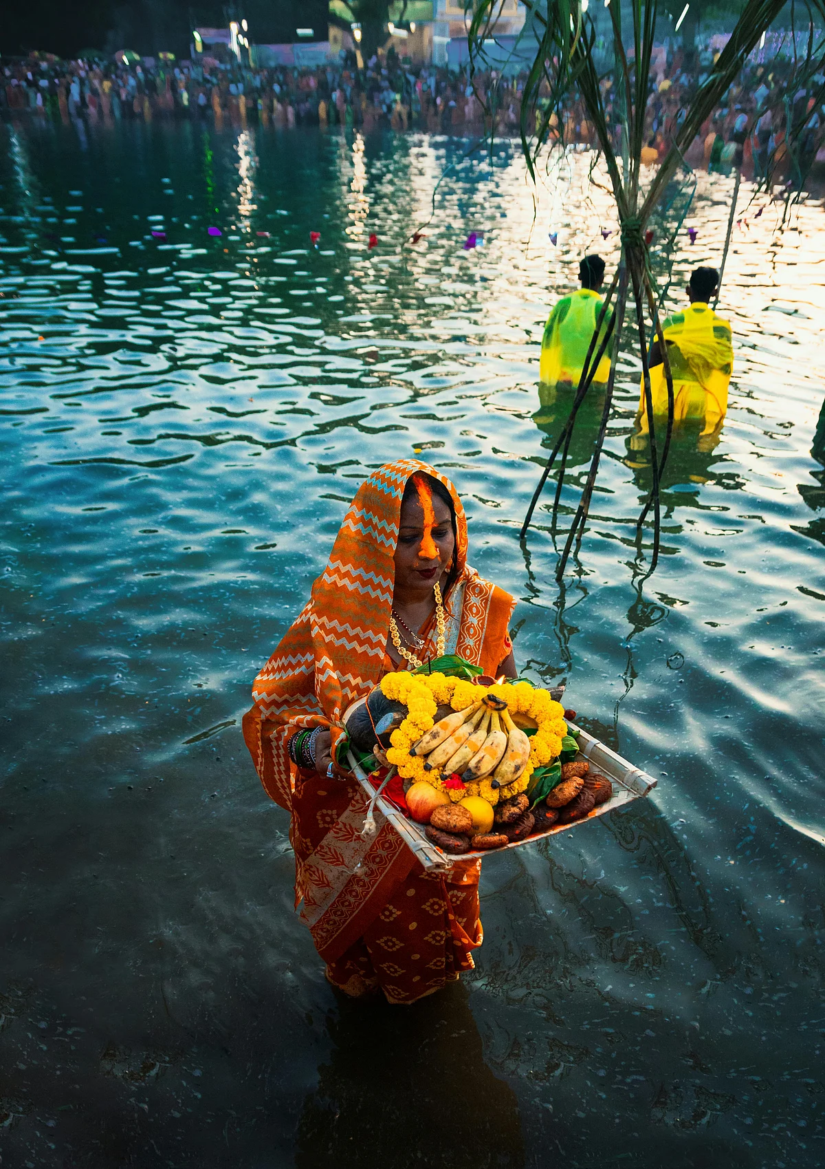 pexels uttarayan saha 1957846 19634843