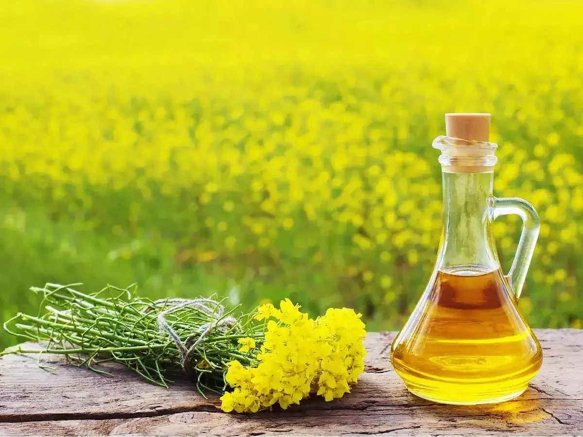 Mustard oil 7