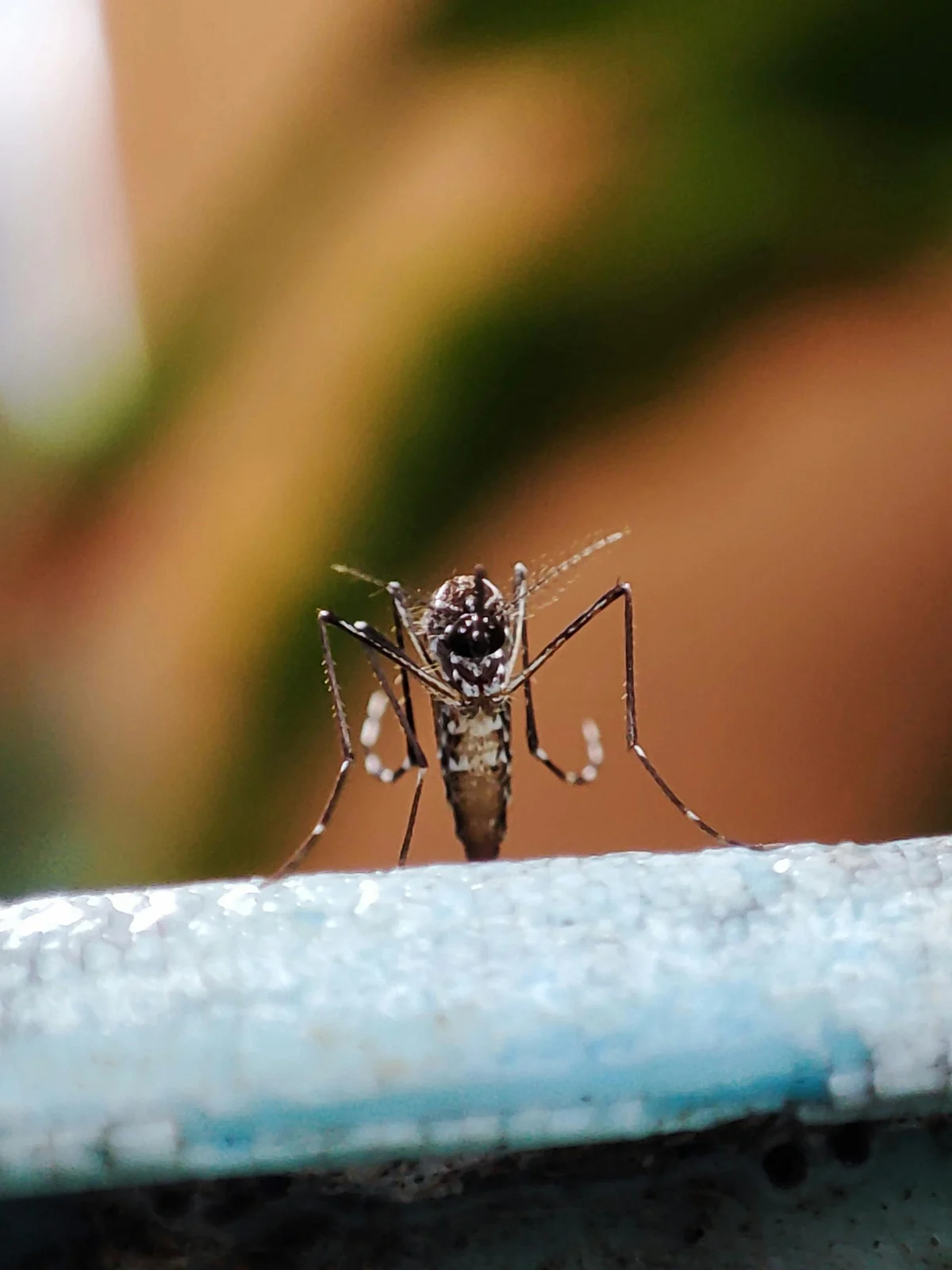 pexels dfntion 9089957